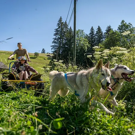 La Chotte Du Musher * Champery