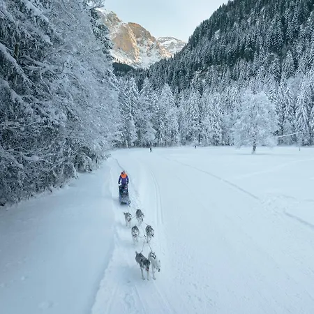 La Chotte Du Musher * Champéry